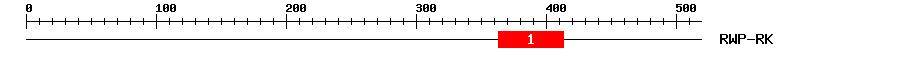 Signature Domain