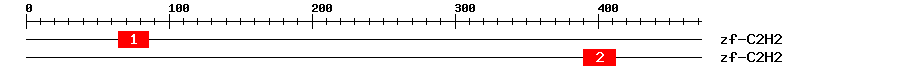 Signature Domain