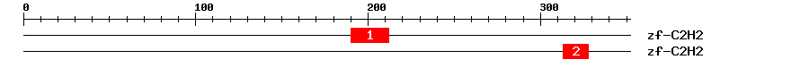 Signature Domain
