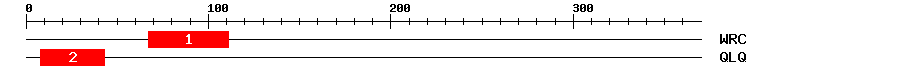 Signature Domain