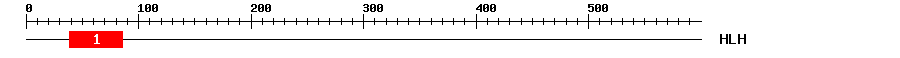 Signature Domain