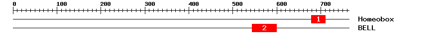 Signature Domain