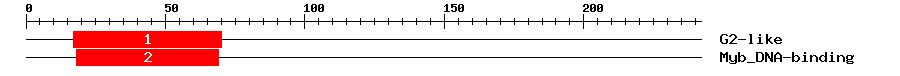 Signature Domain