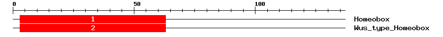 Signature Domain