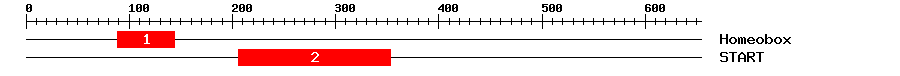 Signature Domain