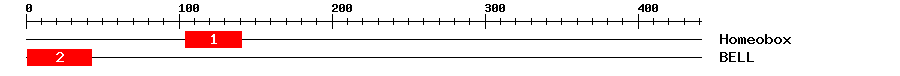 Signature Domain