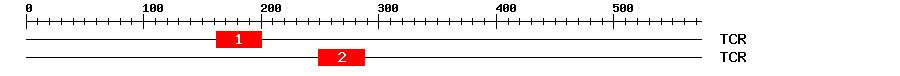 Signature Domain