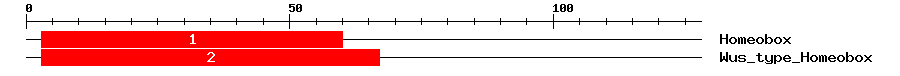Signature Domain