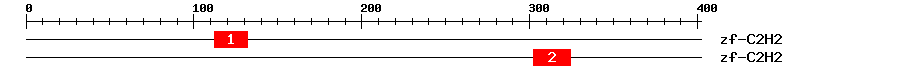 Signature Domain