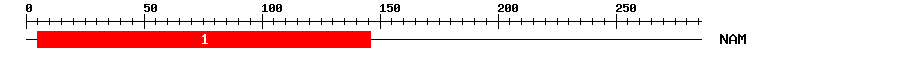 Signature Domain