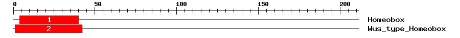 Signature Domain