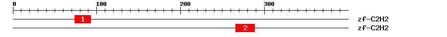 Signature Domain