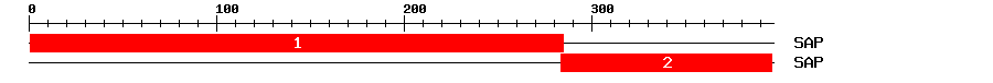 Signature Domain