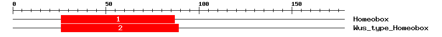 Signature Domain