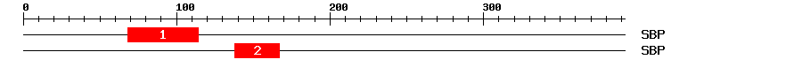 Signature Domain