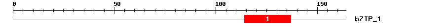 Signature Domain