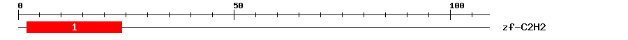 Signature Domain