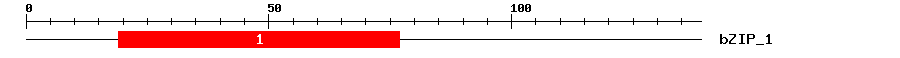 Signature Domain