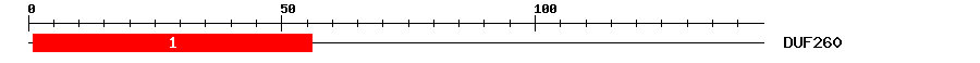 Signature Domain