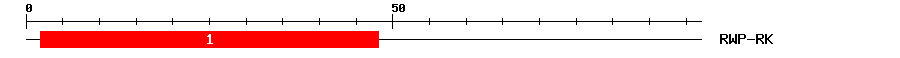 Signature Domain