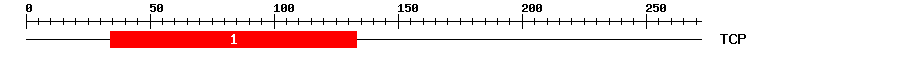 Signature Domain