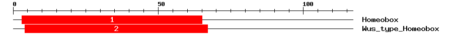 Signature Domain