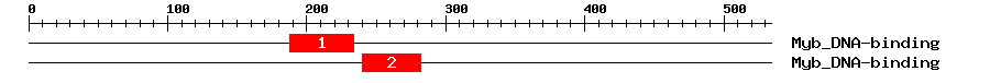 Signature Domain