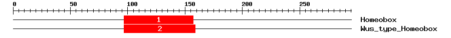 Signature Domain