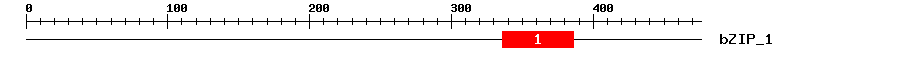 Signature Domain