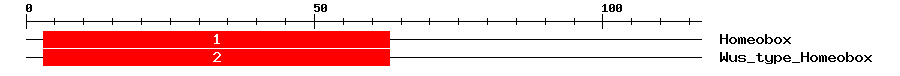 Signature Domain