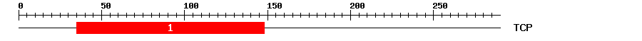 Signature Domain