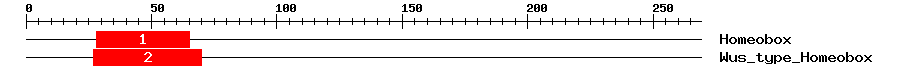 Signature Domain