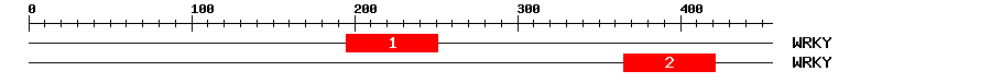 Signature Domain