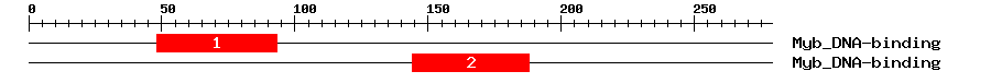 Signature Domain