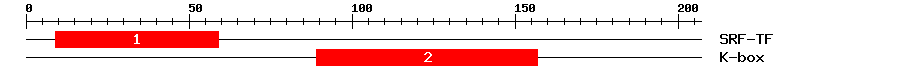 Signature Domain