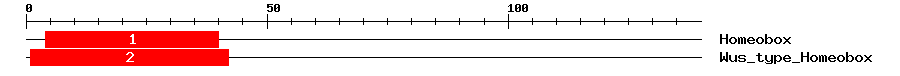 Signature Domain