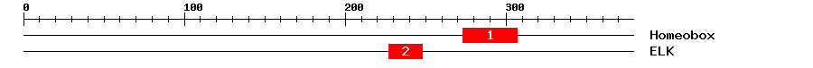 Signature Domain
