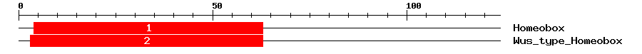 Signature Domain