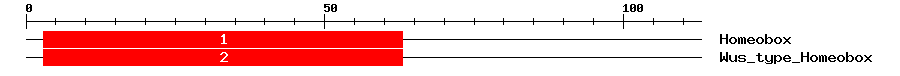 Signature Domain