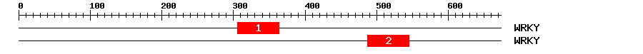 Signature Domain