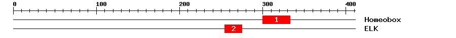 Signature Domain