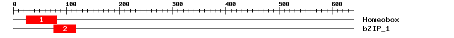 Signature Domain