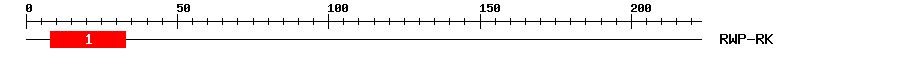 Signature Domain