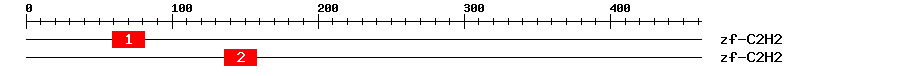 Signature Domain