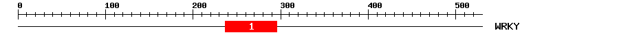 Signature Domain