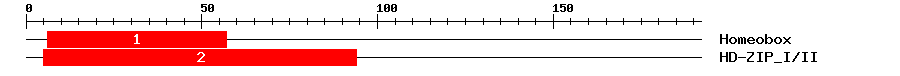 Signature Domain