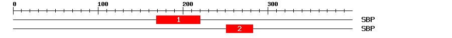 Signature Domain