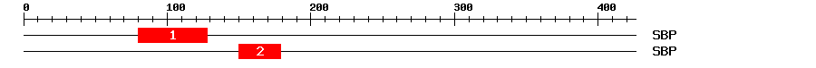 Signature Domain