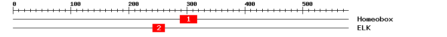Signature Domain
