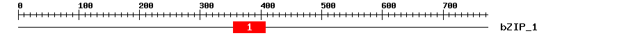 Signature Domain
